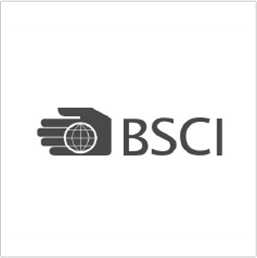 BSCI.png